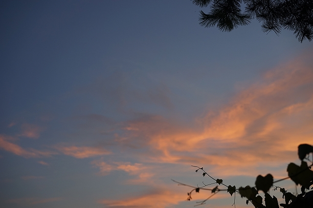 α７なら夕暮れだってへっちゃら！