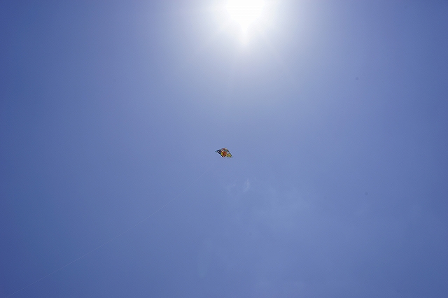 α７で逆光テスト