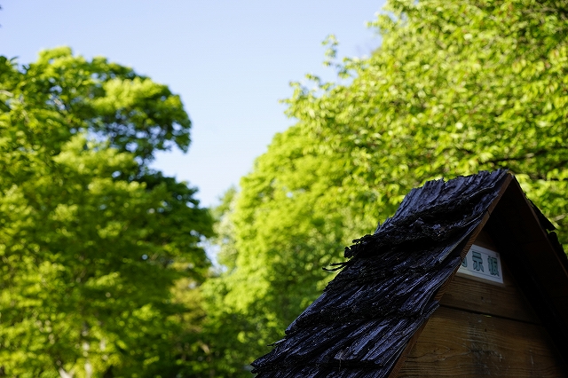 α７で気になった味のある掲示板を撮影
